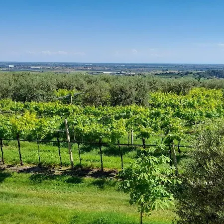 Carpinonero Farmház